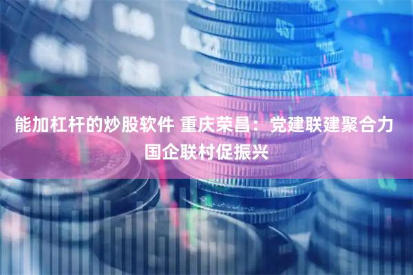 能加杠杆的炒股软件 重庆荣昌：党建联建聚合力 国企联村促振兴