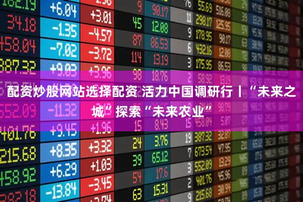配资炒股网站选择配资 活力中国调研行丨“未来之城”探索“未来农业”