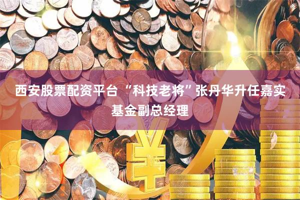 西安股票配资平台 “科技老将”张丹华升任嘉实基金副总经理